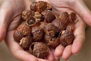 Buy Soap Nuts in the UK